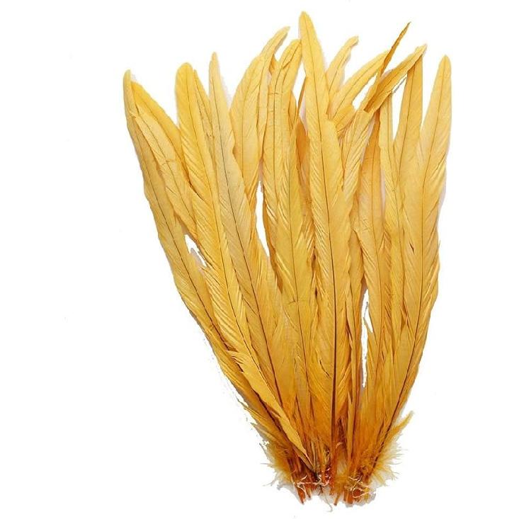 Nature Rooster Coque Tails Feathers Costume Craft Decoration 12-14inch Pack of 25 (black)