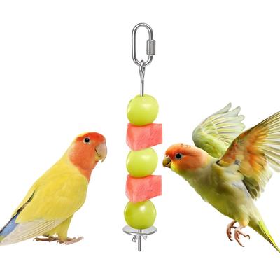 Stainless Steel Bird Foraging Skewer Enriches Diet & Encourages Natural Behavior Fruit/Vegetable Holder for Parrots, Parakeets