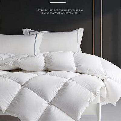 Muji 100% White Goose Feather Duvet