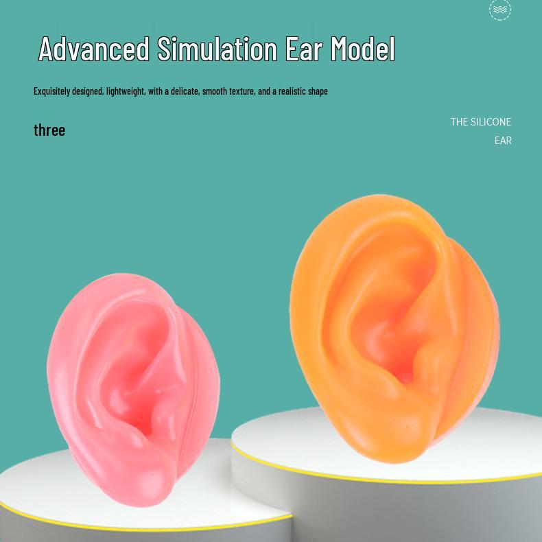 Silicone Fake Ear Model for Teaching and Earring Display