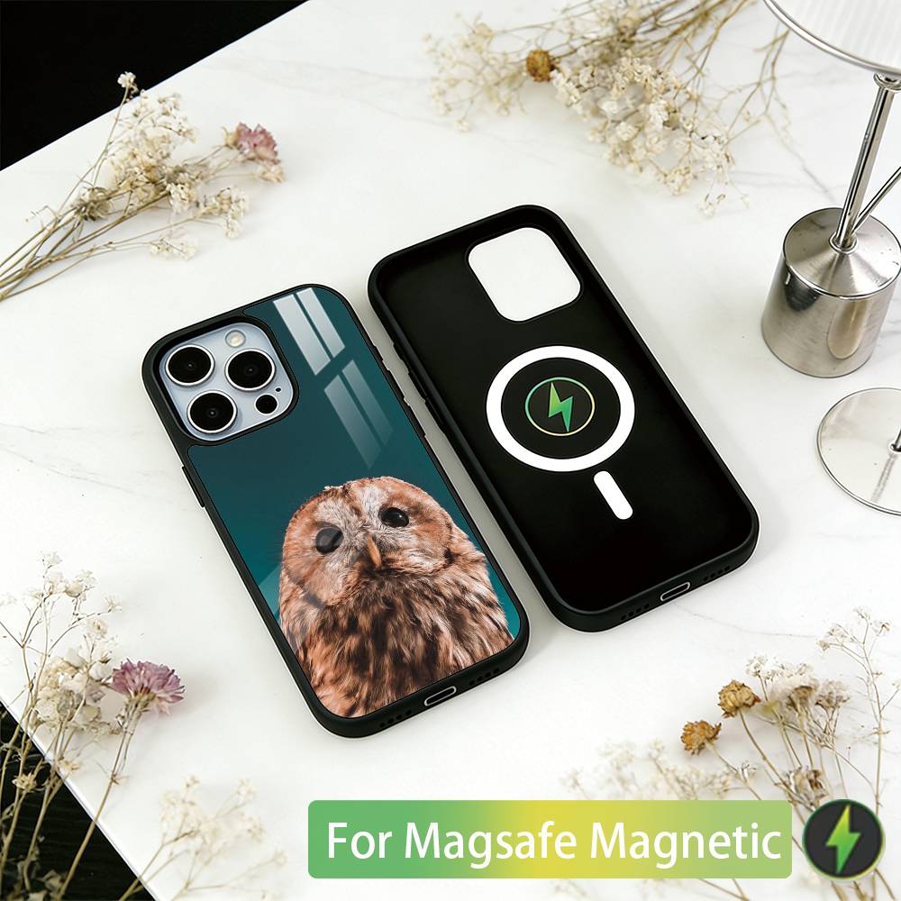 Haustier Süße Eule Handyhülle Für iPhone17,16,15,14,13,12,11 Plus,Pro Magnetisch Für Magsafe Kabelloses Laden