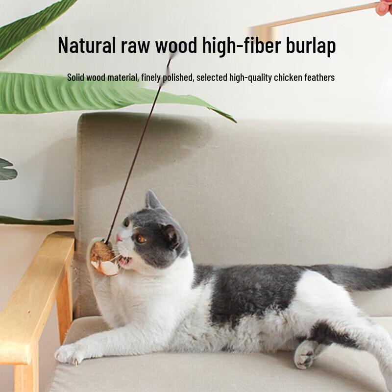 6-Piece Durable Cat Scratcher Bed & Toy Set