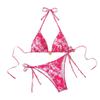 2024 European & American Triangle Cup Print Bikini Swimwear,