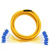 SNIT SN-24JS-LCL40 24-Core Single-Mode LC-LC Fiber Optic Patch Cord
