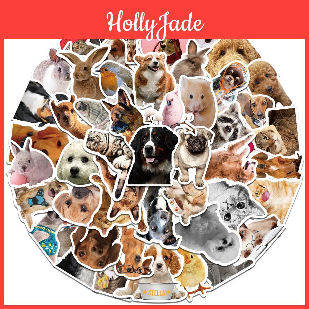 Cute Cartoon Waterproof Stickers For Notebooks Water Bottles And More Set Of 52