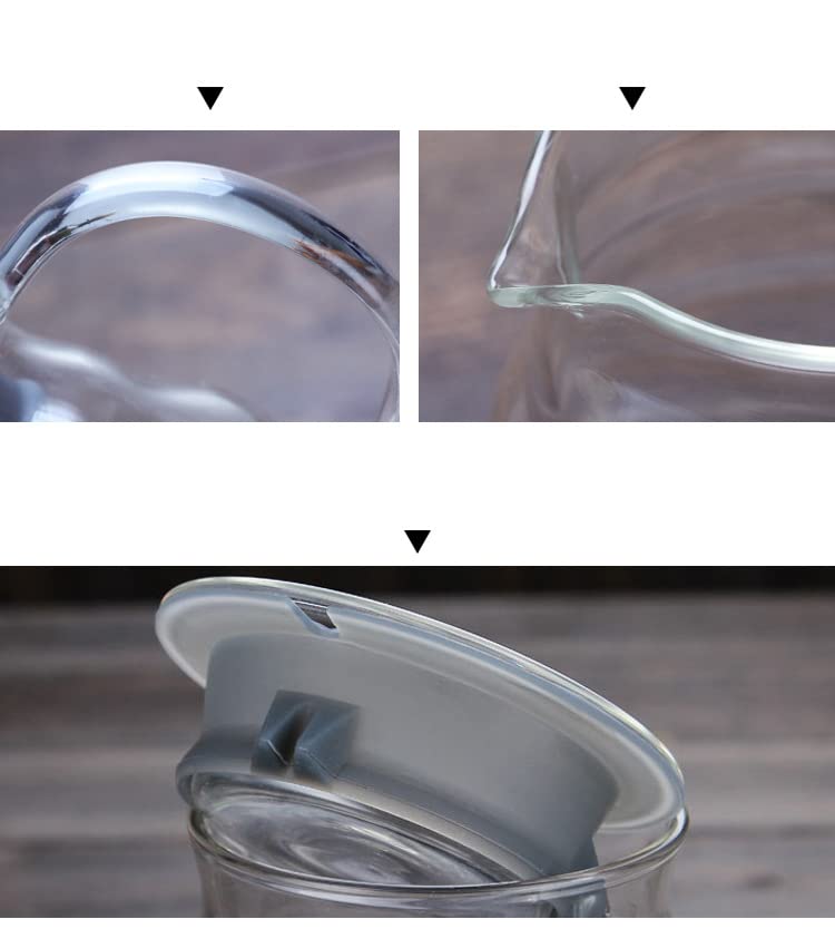 Gugrida 600ml Coffee Server, Drip Coffee Server, Hand Drip Coffee Server, Heat and Cold Resistant, High Boron Silica Glass Material (Transparent)