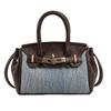 Premium bag summer new niche design messenger bag fashionable simple texture handbag