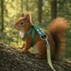 Escape Proof Guinea Pig Harness Soft Ferret Anti Loss Rope Ferret Harness Leash  Pet Running