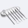 Stainless Steel Dental Tool Set: Endoscope, Toothpick, Calculus & Plaque Remover