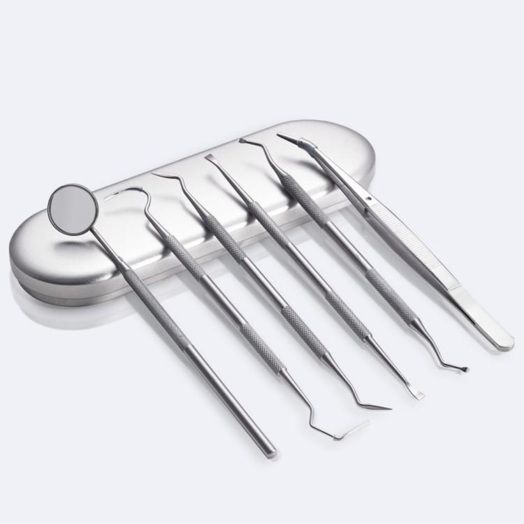Stainless Steel Dental Tool Set: Endoscope, Toothpick, Calculus & Plaque Remover