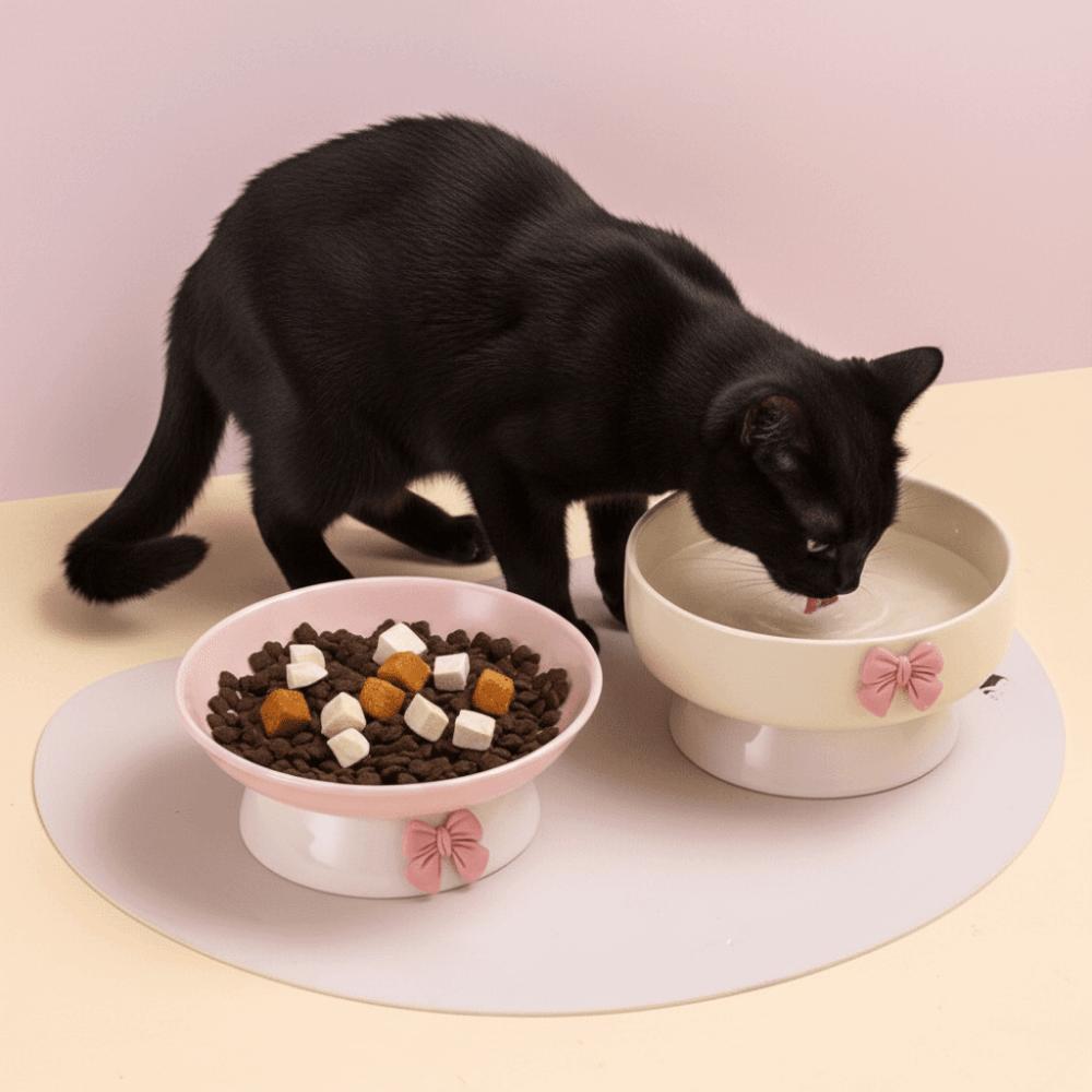 Large Capacity Elevated Pet Bowl Non-Slip Base Anti-Spill Dog Bowl Pet Feeding Bowl  For Puppy Cats