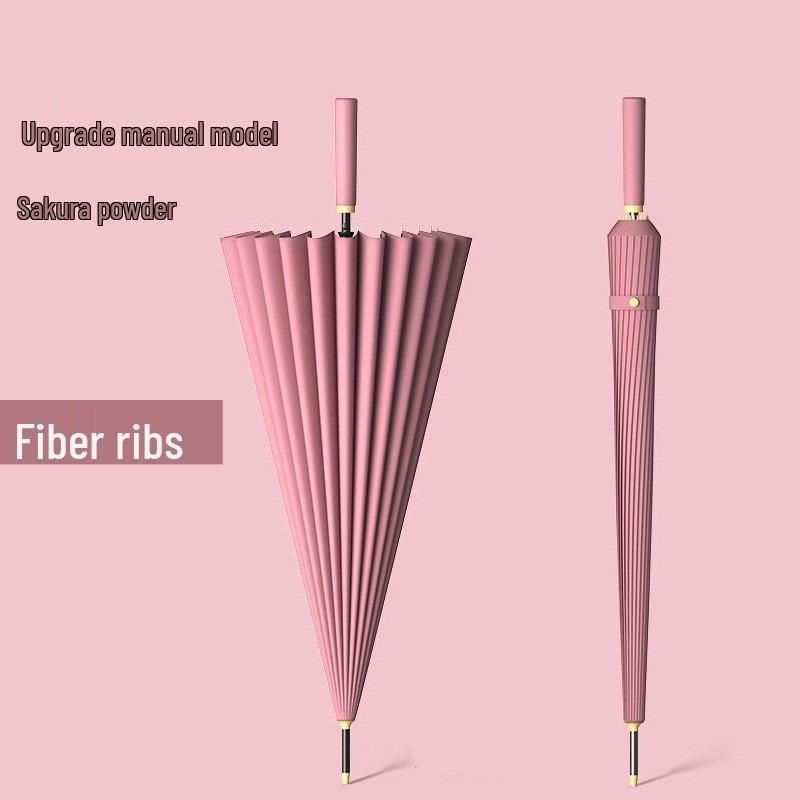 Windproof Double Canopy Umbrella with 24 Ribs and Long Handle