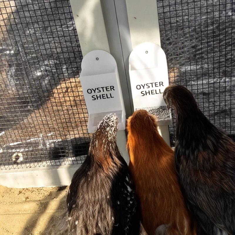 Chicken Feeders No Waste Chicken Feeder Trough Weatherproof Coop Trough For Farm Backyard Outdoor Indoor Livestock Care