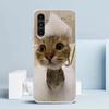 Pet Cat Funny Memes Cover for Samsung Galaxy A17 A37 A57 A16 A26 A36 A56 A15 A14 A55 Phone Case A13 A53 A25 A35 A24 A34 A23 A33