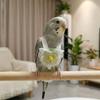 Adjustable Pet Parrot Diaper Snap-Closure Bird Vest Safety Parrot Nappy  for Cockatiel Pigeons