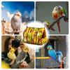 Bird Nest Foldable Soft Comfortable Hammock Cockatiel Bed Shelter Parrot Hammock For Lovebird Canary Finch Conure Hamster Indoor