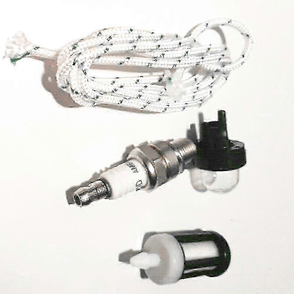 STIHL FS240 FS310 FS360 FS410 FS460 Strimmer Spark Plug and Air Filter Kit - 2020 New Release 25-26
