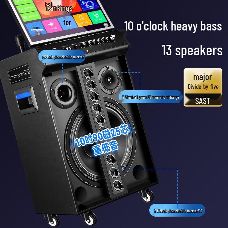 SAST WD-30 Portable Karaoke Machine with Display