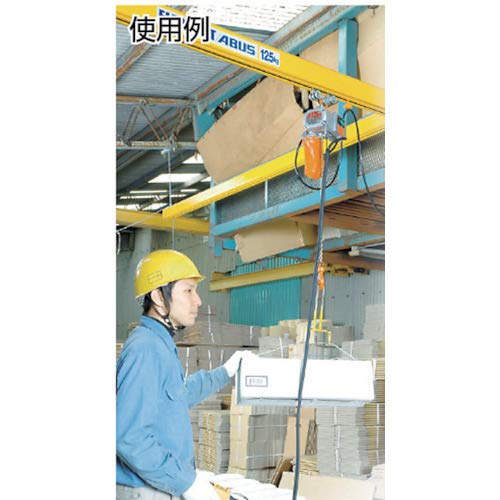 Zojirushi Beta-Type Small Electric Chain Hoist, 200kg Load Rating, 6m Lifting Height, BSK2060