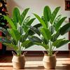 Material Plástico Plantas Artificiais Tamanho Grande Plantas Falsas Folha de Bananeira Artificial Decoração de Festa
