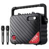 Malata Y8 M+9116 Portable KTV Speaker with Dual Wireless Mics (CN Version)