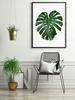 Picture, poster In a frame 43x33 cm Leaf 1 P569