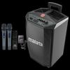 Malata M+9017C 12-inch Wireless Bluetooth Trolley Speaker (CN Version)