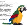 Plush Toy Comfortable Parrot Pattern PP Cotton Kids Plush Toy Ornaments for Home