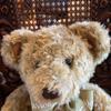 [USED] Popular Harrods 100th Anniversary Limited Edition Teddy Bear