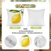 Lemon Slice Juice Pattern Digital Printing Pillow Cover Short Plush Suitable Living Rooms Bedrooms Sofas Throw Cushion Cover