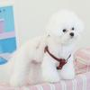 MAISON DE MIU Running Mate Harness_Wine