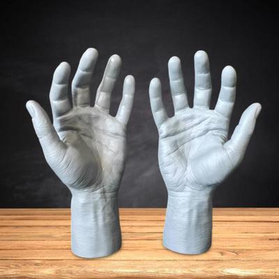2Pcs Male Hand Mannequin Fake Hands Multipurpose Spooky Halloween Decoration for Showing Jewelry