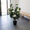 Artificial Camellia Tree Tall with Flowers Sturdy Vibrant for