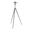 Set BEFREE GT PRO 3W