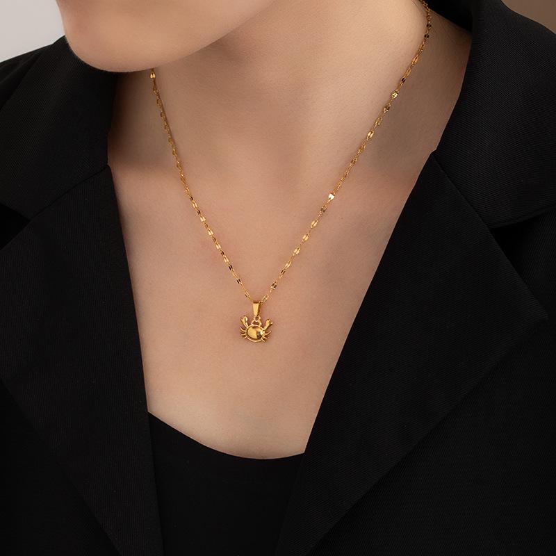 European & American New Ocean Style Titanium Steel Clavicle Necklace: Chic, Versatile, High-End Women's Bestseller