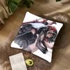 Hot Chisa Wuthering Waves Pillow Case Cushion Cover Decor Home Throw Pillow Covers For Couch Camping Pillow Cover Decorations