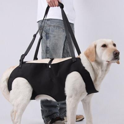 Adjustable Strap Dog Lift Harness Thicken Handle Pet Lifting Vest Dog Sling Carrier  Pet Supplies