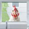 Realistic Black White Rooster Peeking Window Sticker Static Cling Farmhouse Kitchen Bedroom Living Room Glass Decal