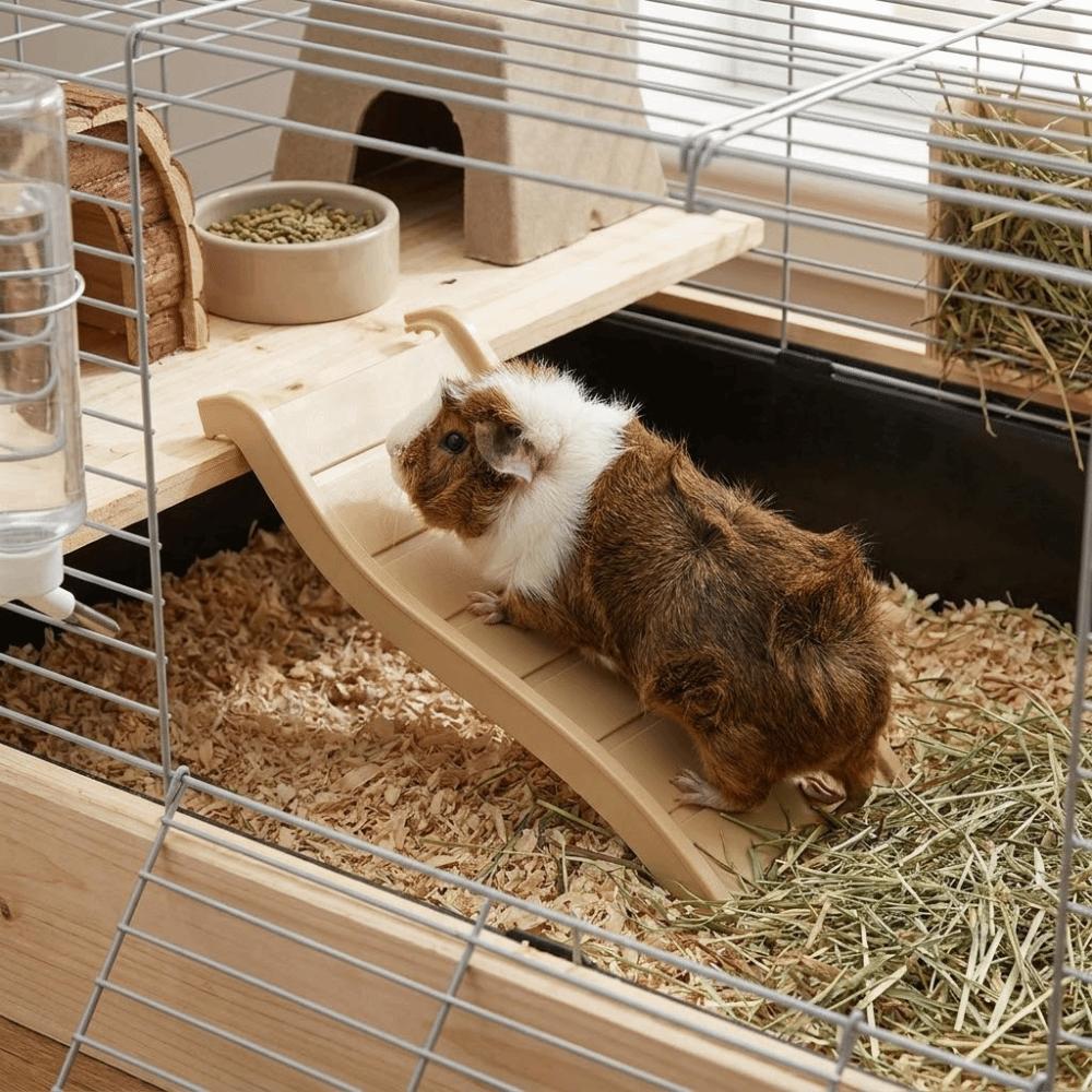 Colorful Hamster Climbing Ladder Interactive Wave Shape Hedgehog Ladder Decorative Guinea Puzzle Toy Pet Habitat