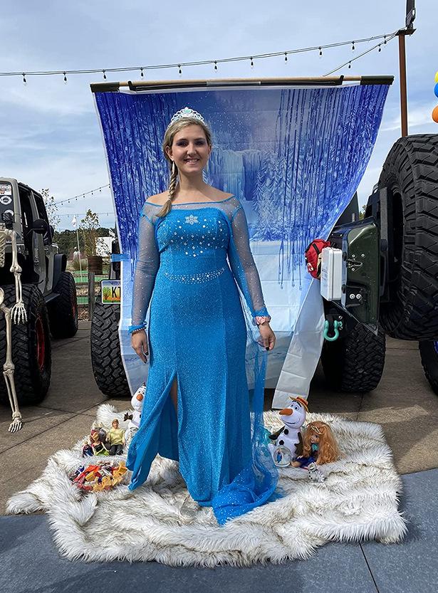 Adult Elsa Princess Performance Halloween Dress