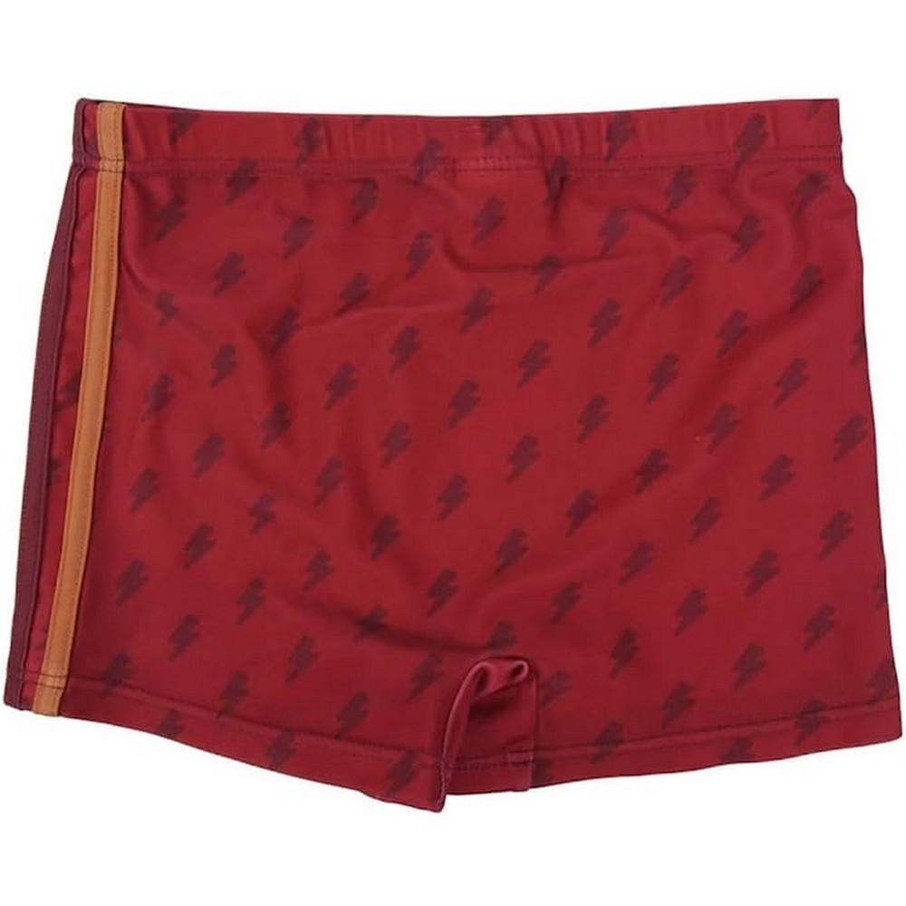 Harry Potter Boys Hogwarts Swim Shorts