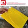 Dual-Sided Insect Sticky Boards: Blue for Attraction, Yellow for Sun & Rain Protection