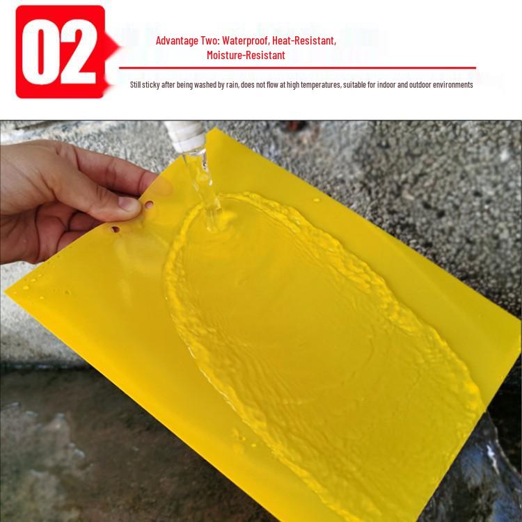 Dual-Sided Insect Sticky Boards: Blue for Attraction, Yellow for Sun & Rain Protection