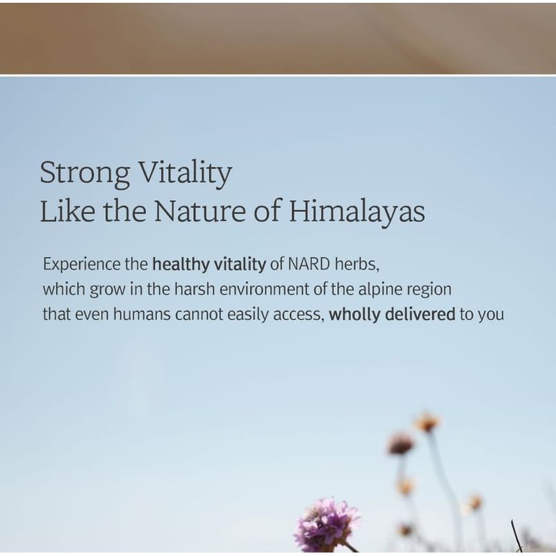 Nard Cooling Hair Loss Care Shampoo