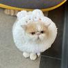 Plush Anti-Bite Surgery Wound Collar Cat Recovery Collar Neck Protective Cone Elizabeth Collar