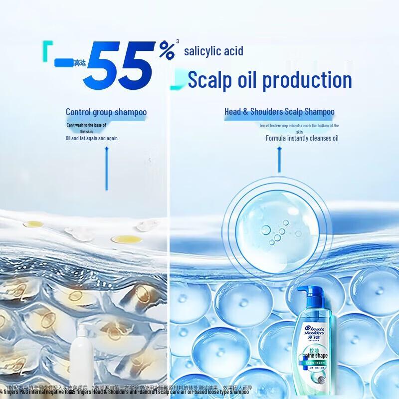 Head & Shoulders Anti-Dandruff & Oil Control Shampoo