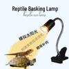 Turtle Sunbathing UVA Lamp - Heating & Calcium Supplement