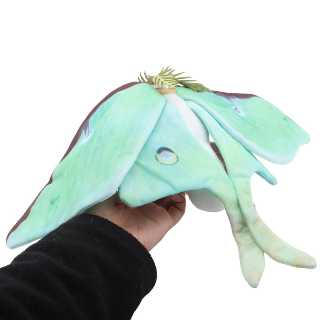 Plyšák Luna Moth Měsíční můra Měkké Realistické Zelená Luna Moth Plyšové zvířátko Plyšák Přírodní téma Pro děti Milovníky hmyzu Dárek k narozeninám