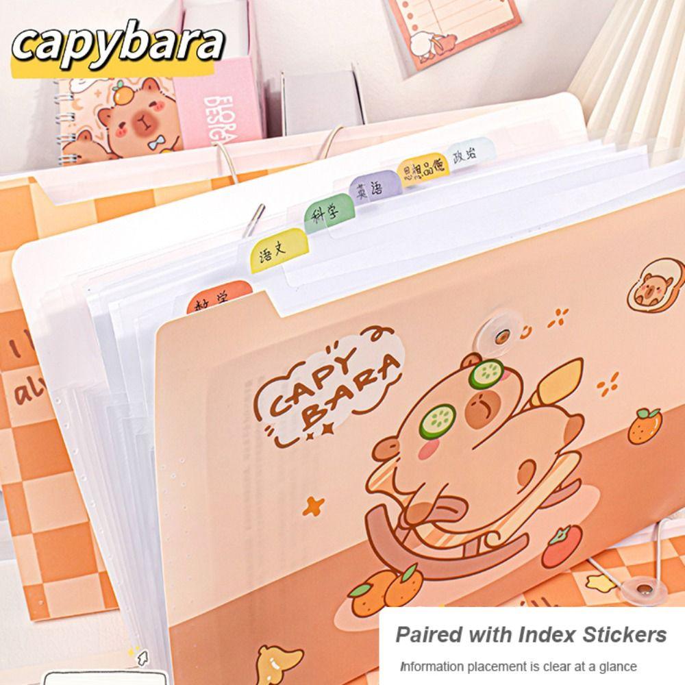 

Capybara A4 File Folder Cartoon File Organizer New Portfolio Style 1(12 pockets)