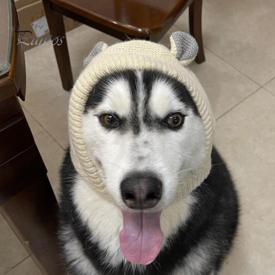 Barn Lue Vinter Pet Cap Strikket Høy elastisitet Holder varmen Ensfarget Øre Decor Småbarn Gutter Jenter Beanie Foto Prop Hodeplagg